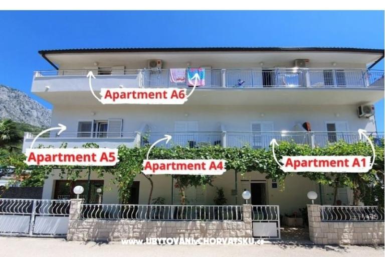 Apartments Villa Ivan Drvenik – photo 7