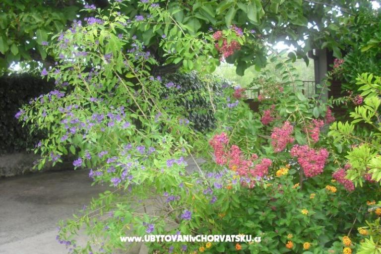 Apartment Jerkunica – photo 12
