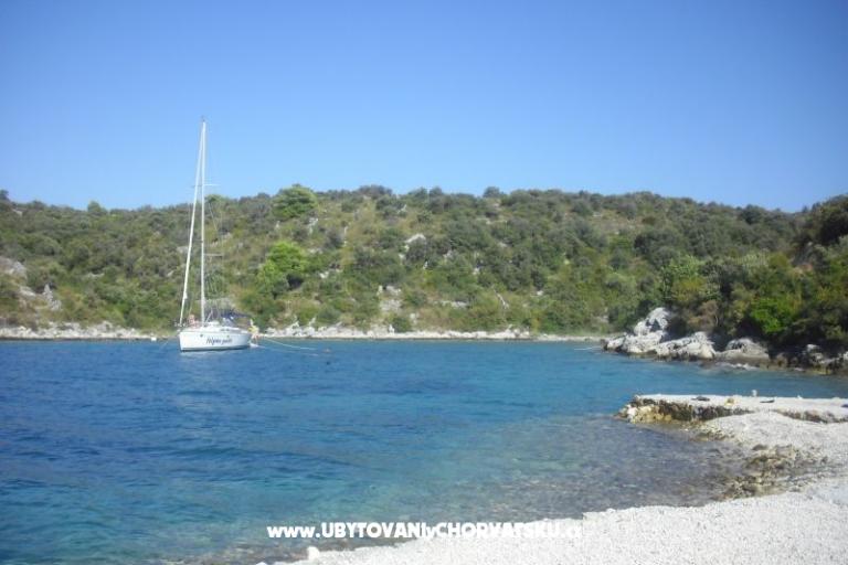 Apartment Jerkunica – photo 17