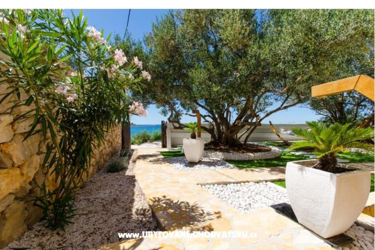 Pearl of Adriatic - Drvenik Mali – photo 10