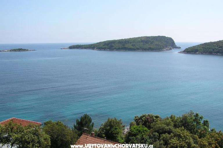 Apartments Antunović – photo 15