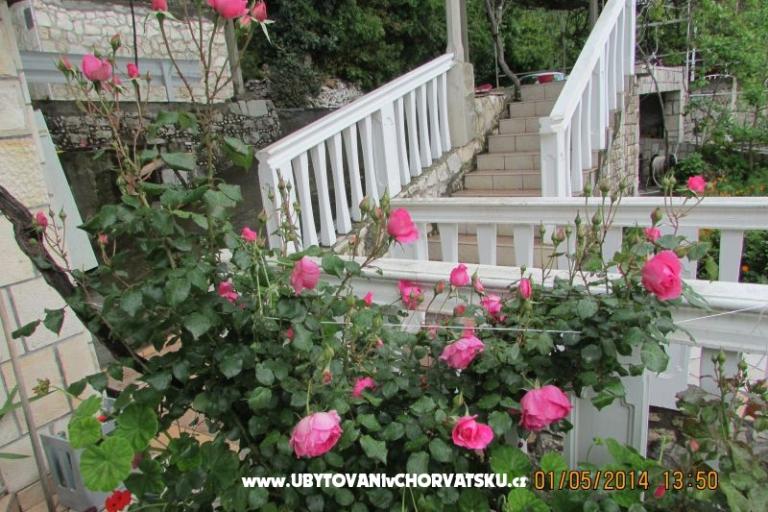 Apartments  Anka – photo 17