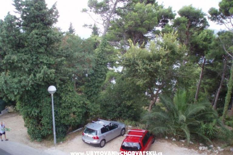 Apartments Ankon Mlini – photo 2