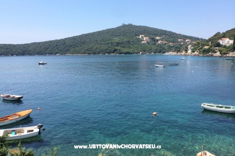 Apartments Antunović – photo 11