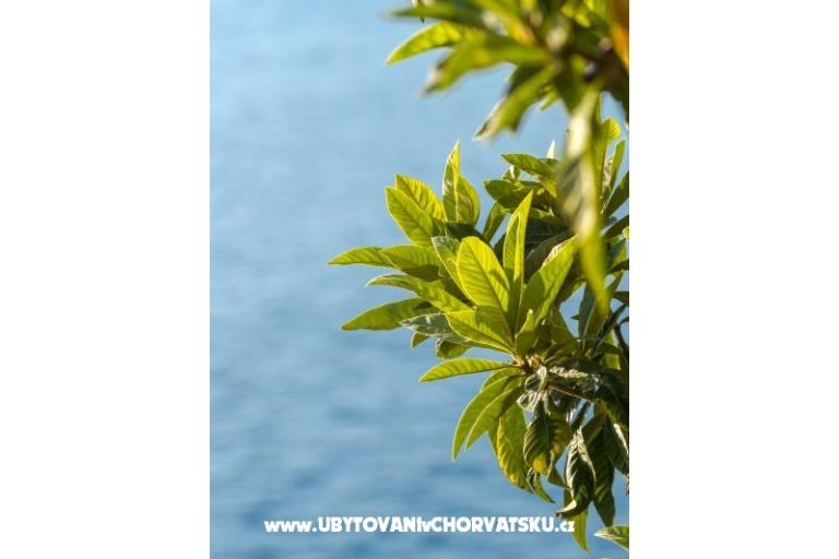 Apartments Diana – photo 10