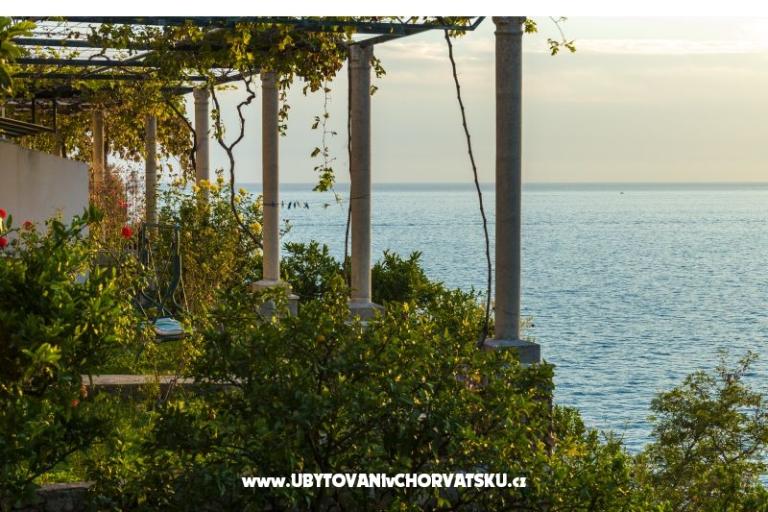 Apartments Diana – photo 13