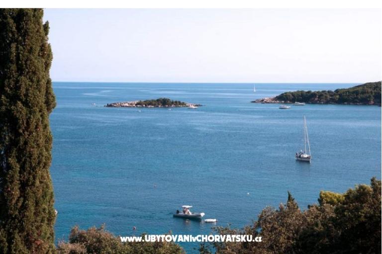 Apartment Iva – photo 3