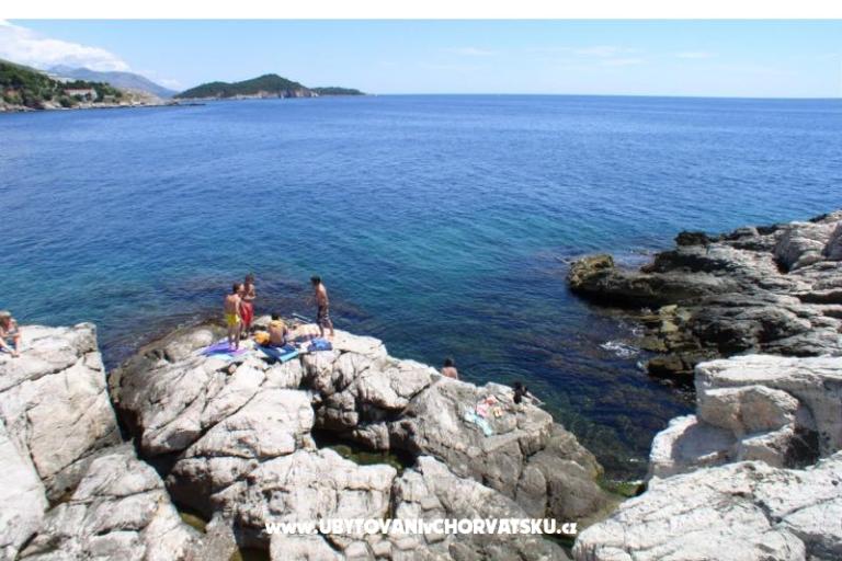 Apartment Franica – photo 10