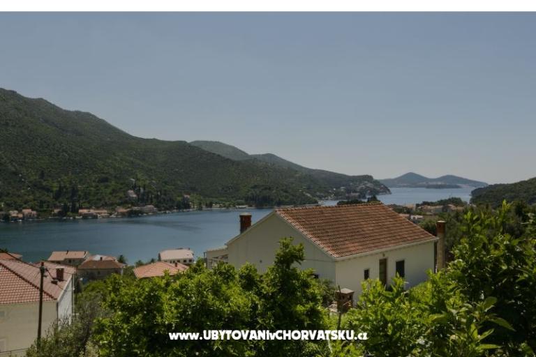 Apartment Markovic – photo 10