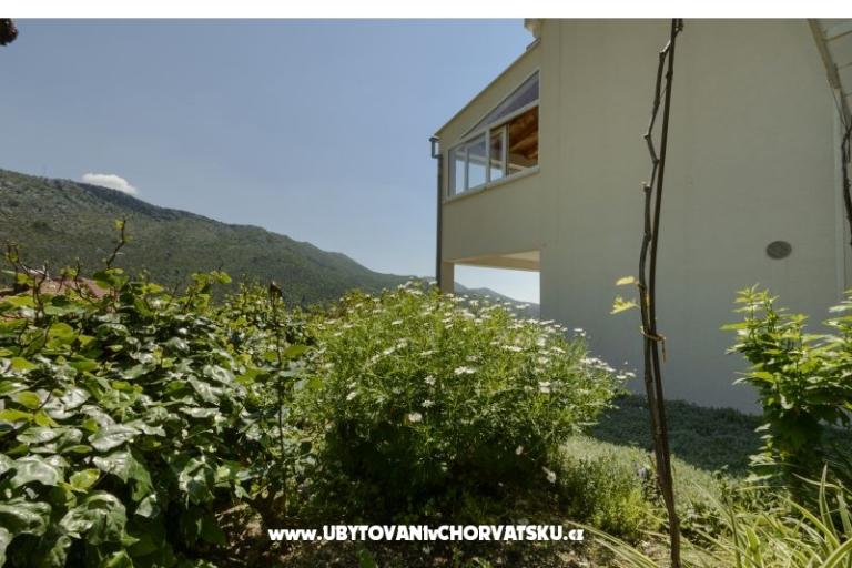 Apartment Markovic – photo 9