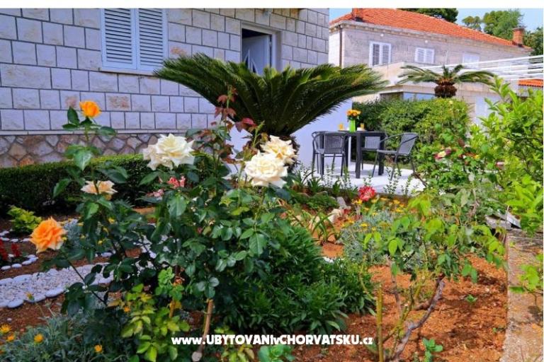 Apartments LOVE DUBROVNIK – photo 14