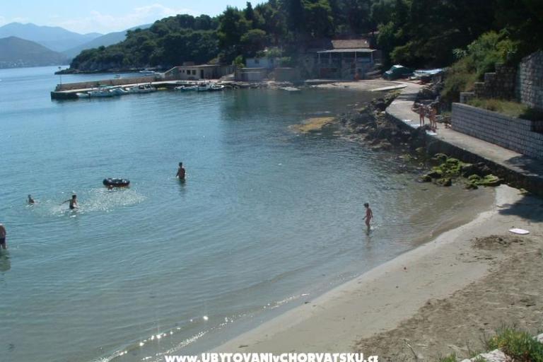 Apartments Oliva – photo 8