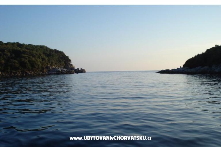 Apartments Rašica – photo 13