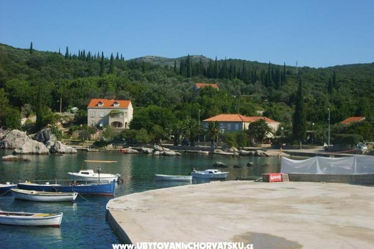 Apartments Vidak – photo 7