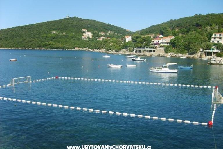 Apartments Vidak – photo 9