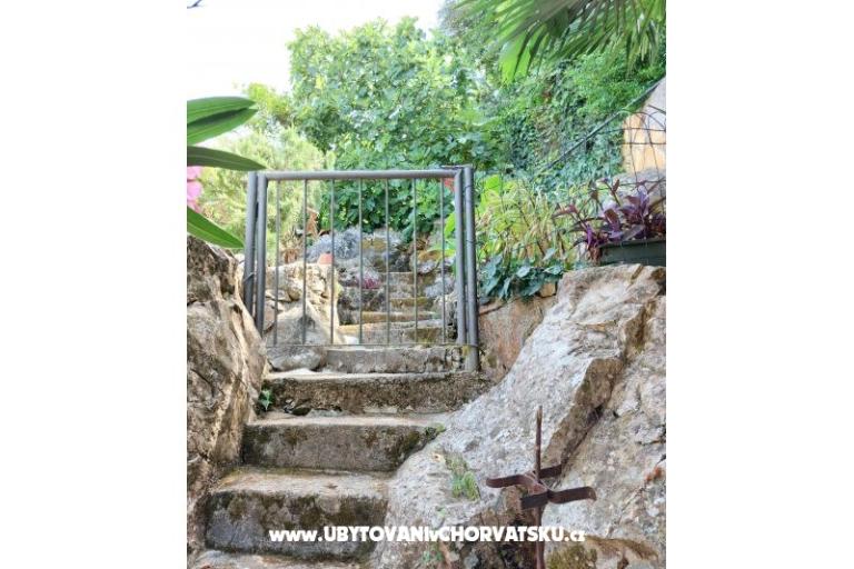 Apartments Villa Riva Molunat – photo 17