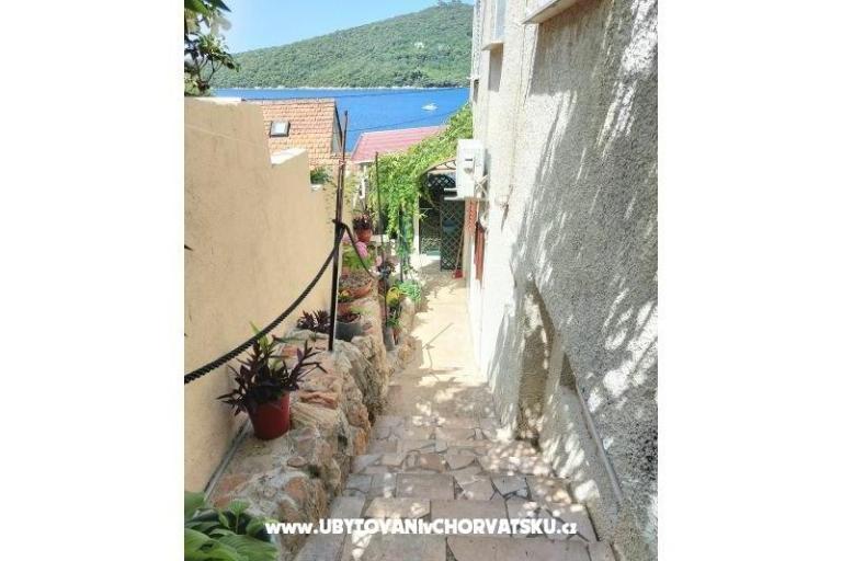 Apartments Villa Riva Molunat – photo 9
