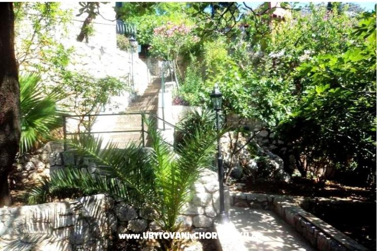 House directly on the sea – photo 11