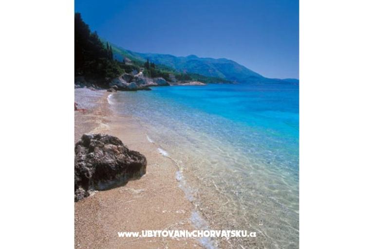 House Peric Mlini  – photo 13