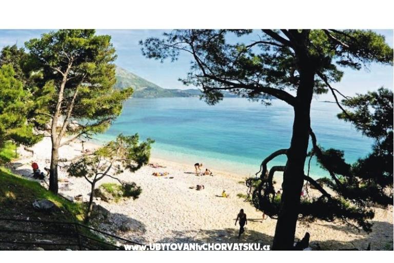 House Peric Mlini  – photo 14