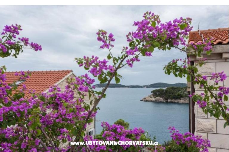 Villa Amica – photo 20