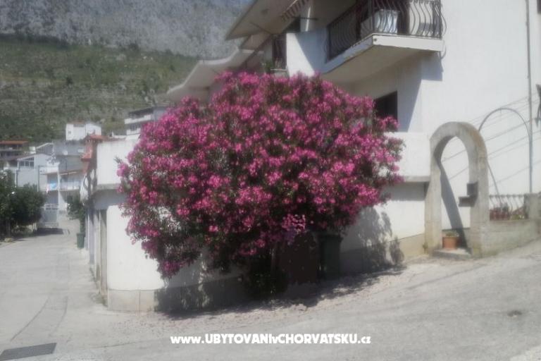 Apartment Pero – photo 3