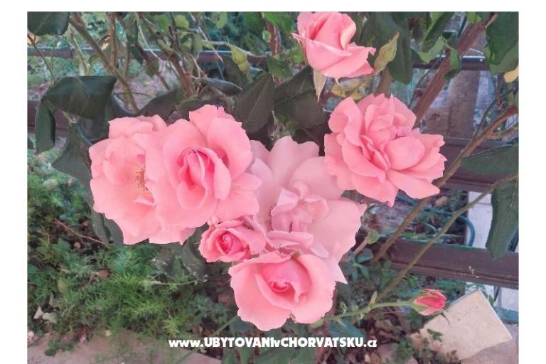 Apartment IN.Milan – photo 19