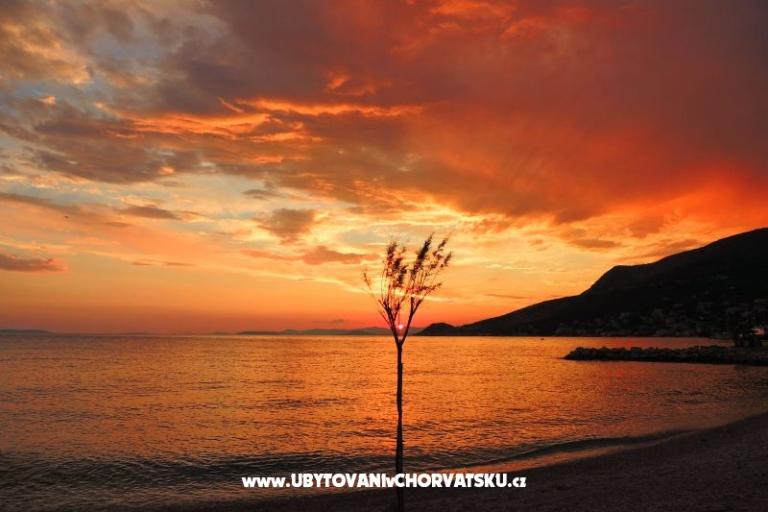 Beach apartments Villa Mirjana – photo 10