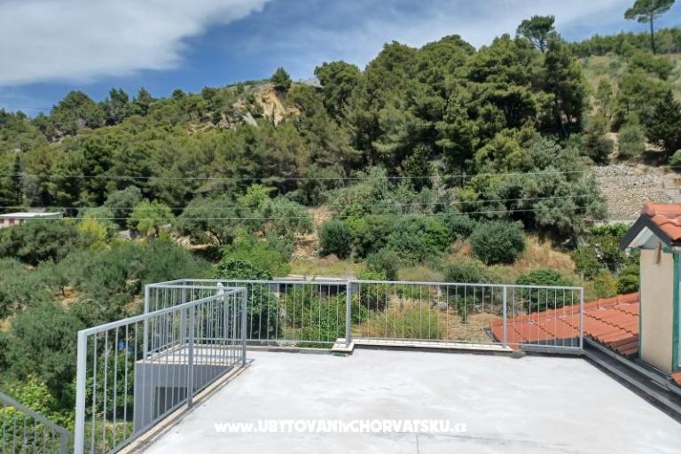 Apartments Andrea – photo 5