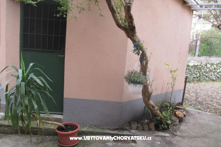  Apartment Bruno – photo 3