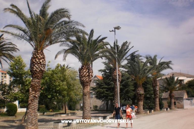 Skockica – photo 3