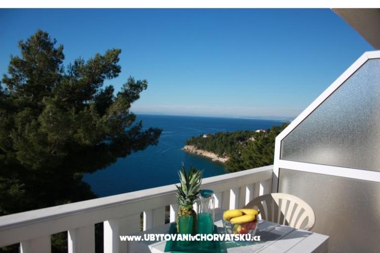 Villa Adriatic – photo 5