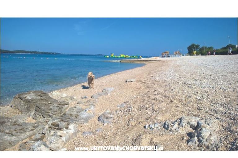 Apartment Flora – photo 13