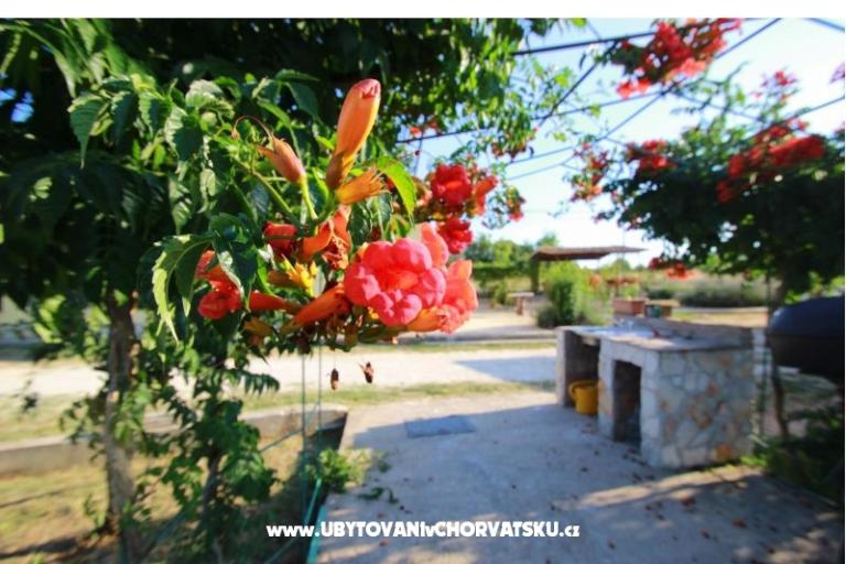 Apartment Sandra  – photo 11