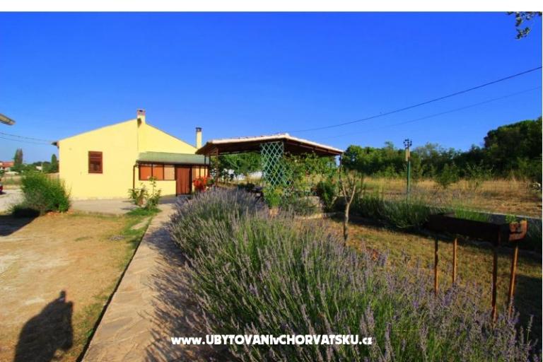 Apartment Sandra  – photo 12