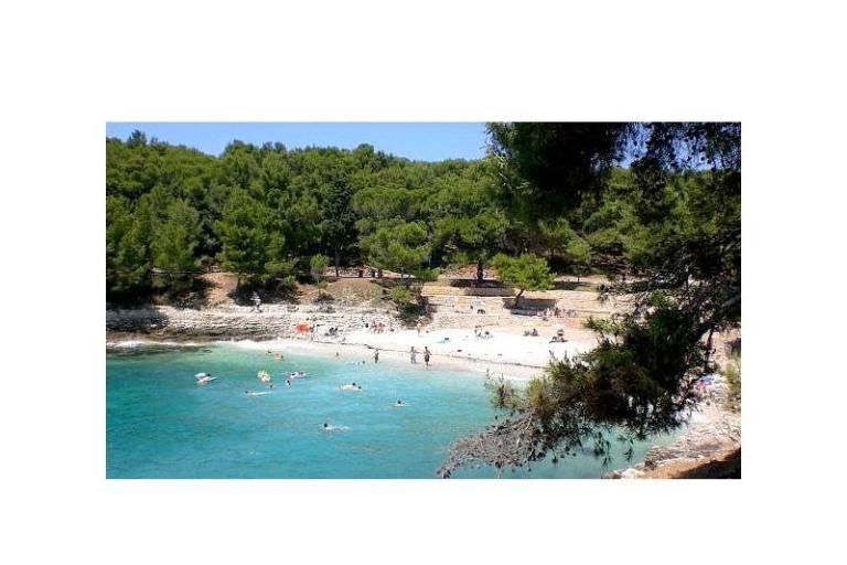 Apartment Sandra  – photo 17