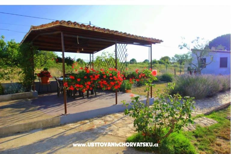 Apartment Sandra  – photo 8