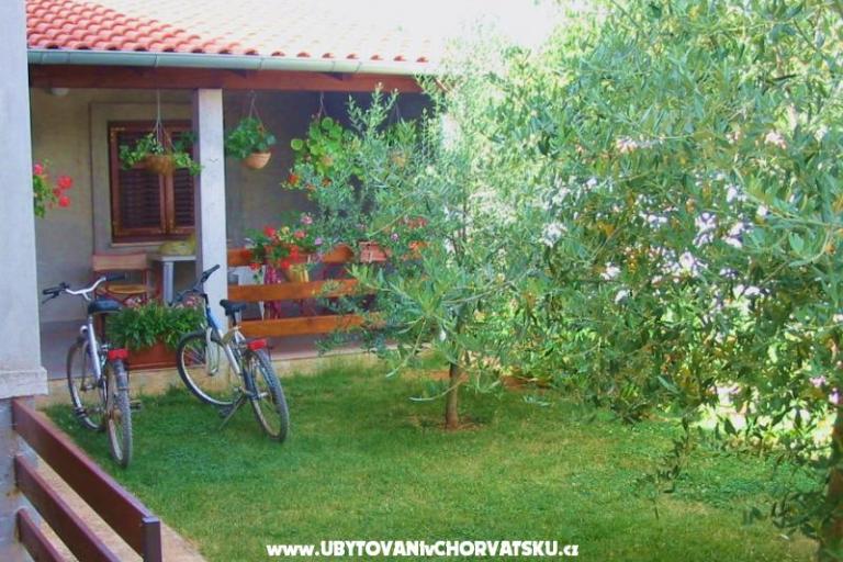 Apartments Danica – photo 4