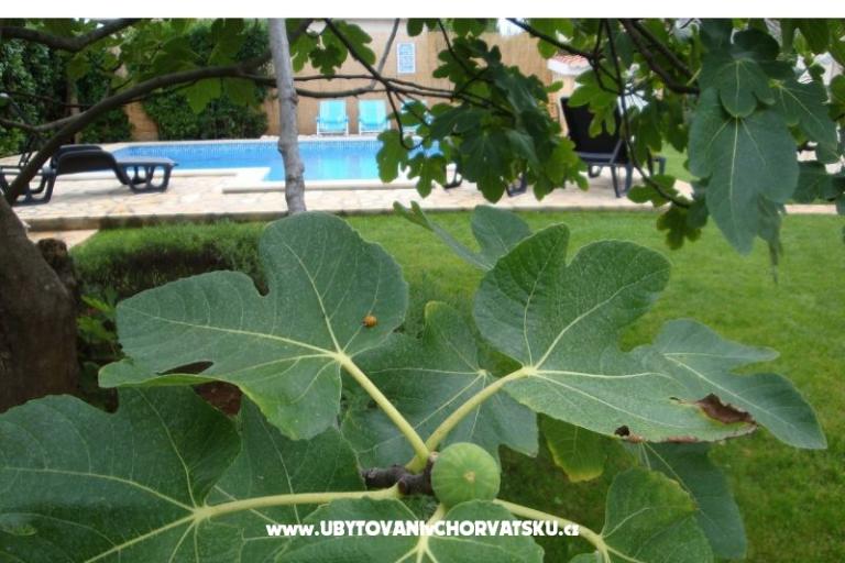 Apartments Dorijo – photo 8