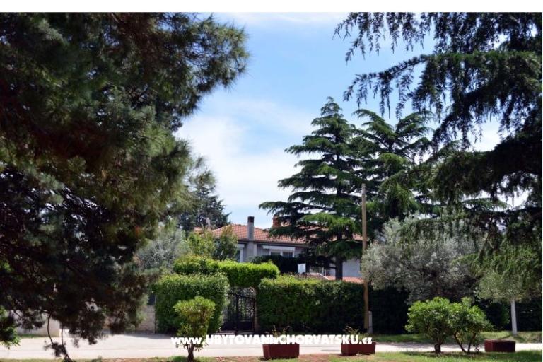 Apartments L – photo 3