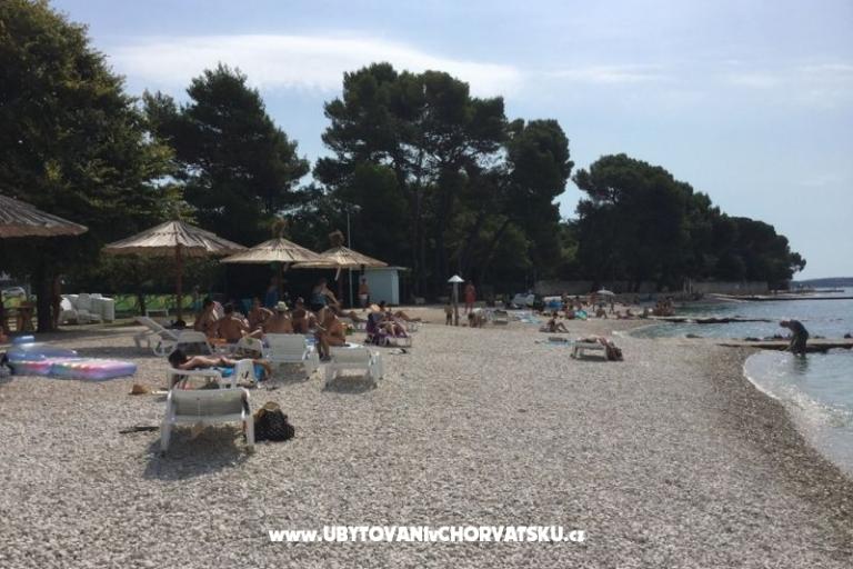 Apartments MiBi – photo 14