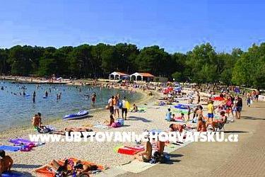 Apartment Zoran - Valbandon  – photo 10