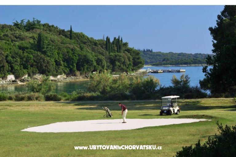 Apartments Alba – photo 18