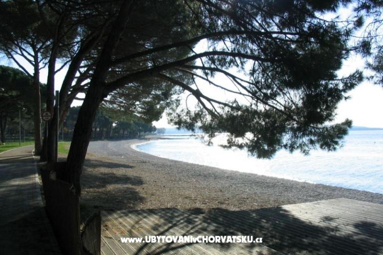 Apartment Oliva – photo 14