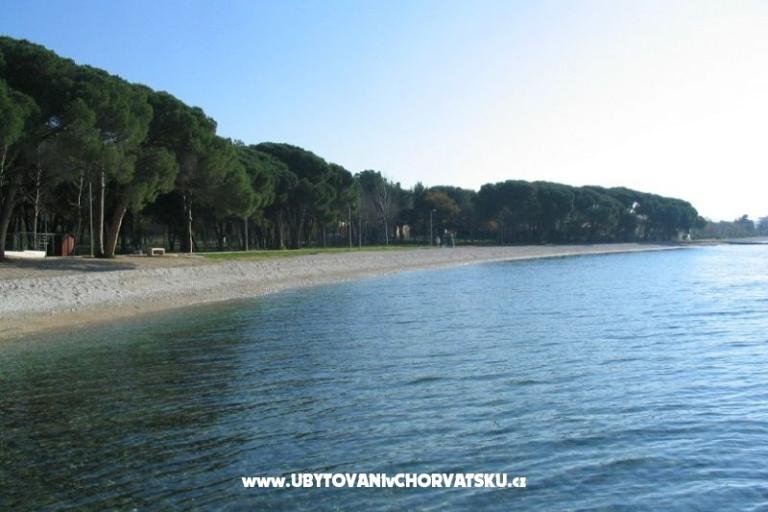 Apartment Oliva – photo 15