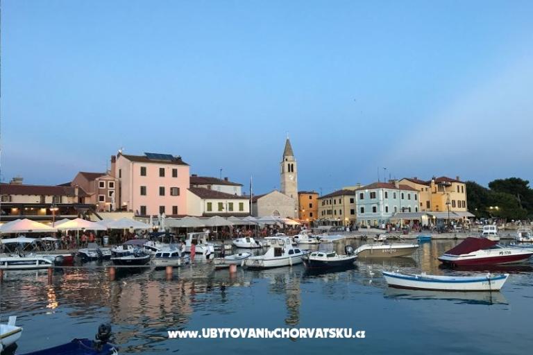 Dante – photo 12