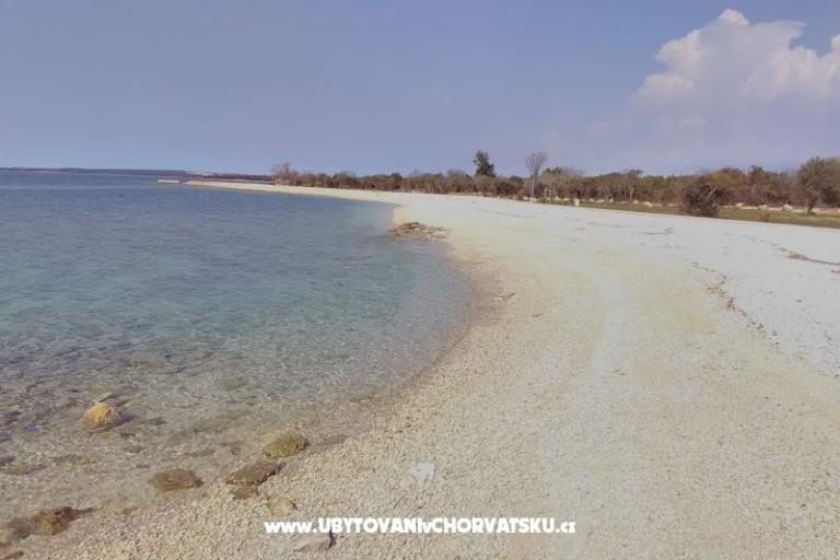 Luka – photo 14