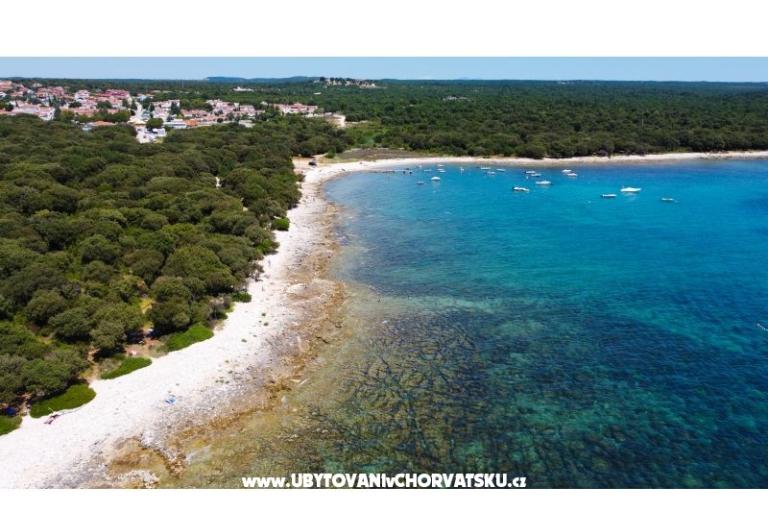 Villa Hedonistra – photo 17