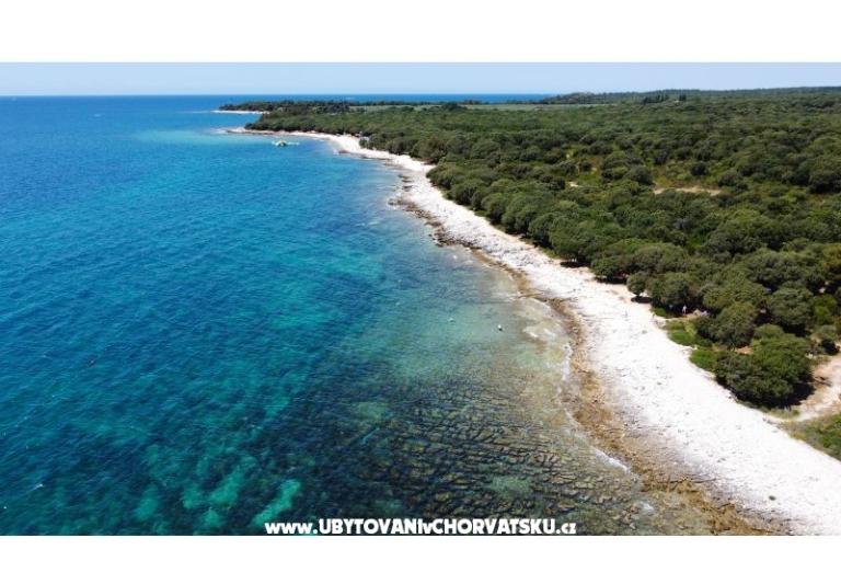 Villa Hedonistra – photo 18