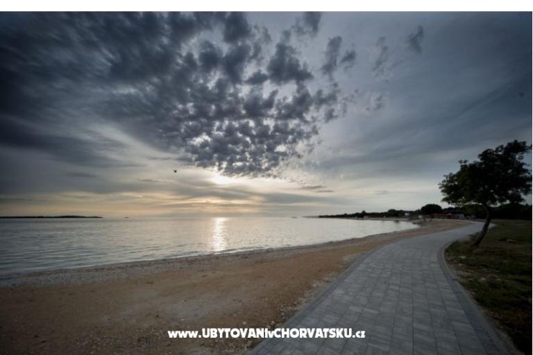Villa Luisa – photo 18